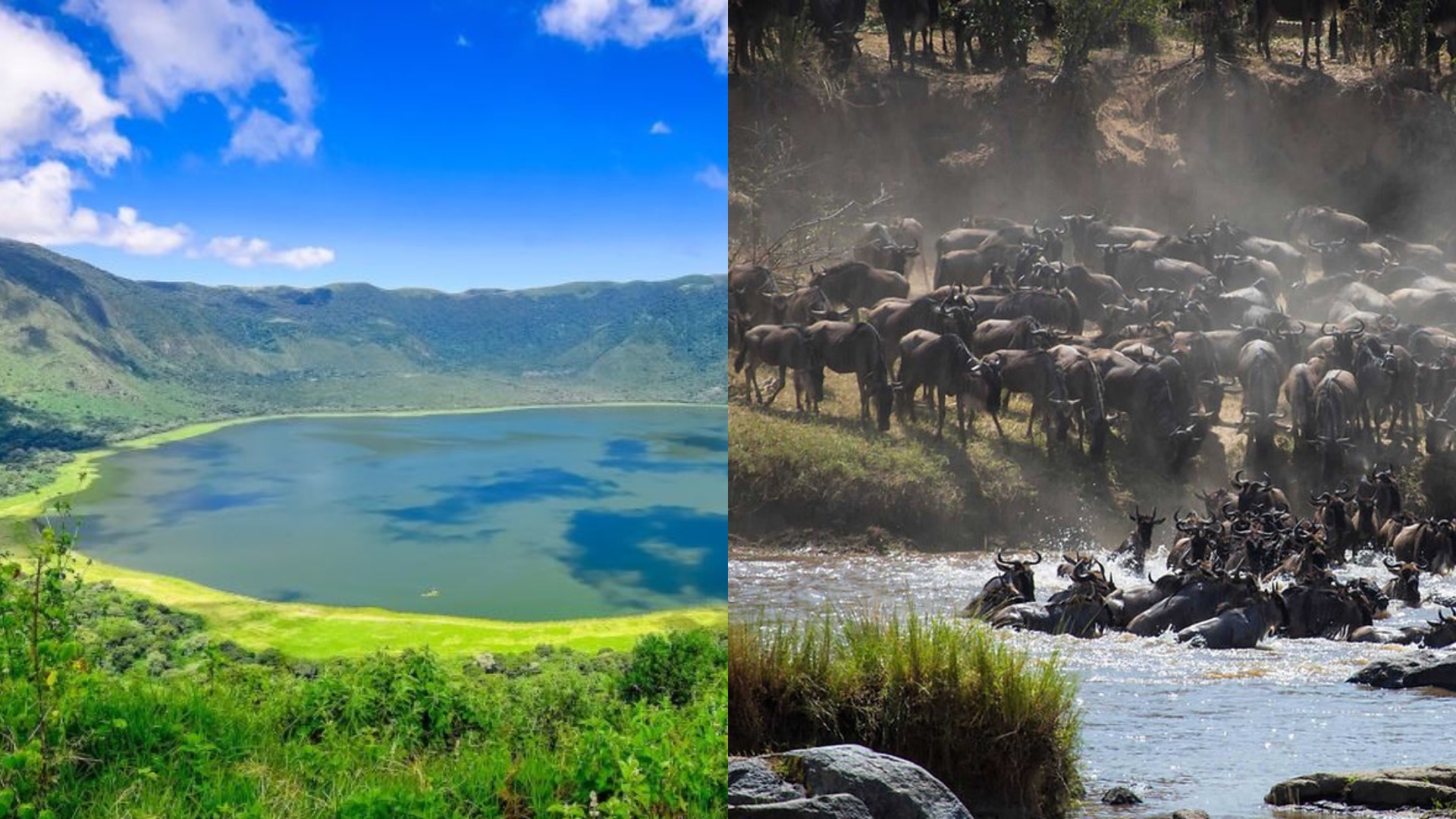 Serengeti & Ngorongoro