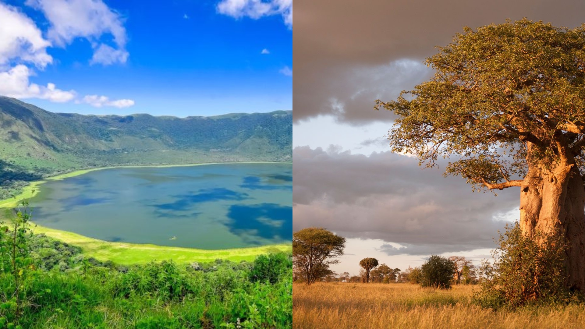 Tarangire & Ngorongoro