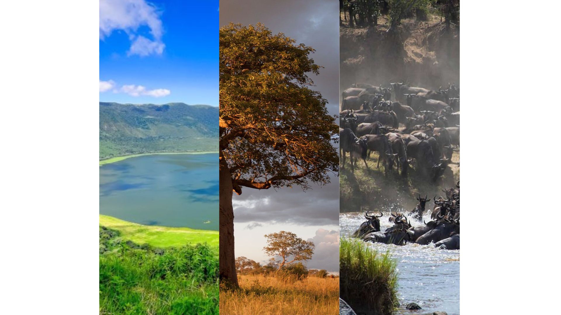 Tarangire, Serengeti & Ngorongoro
