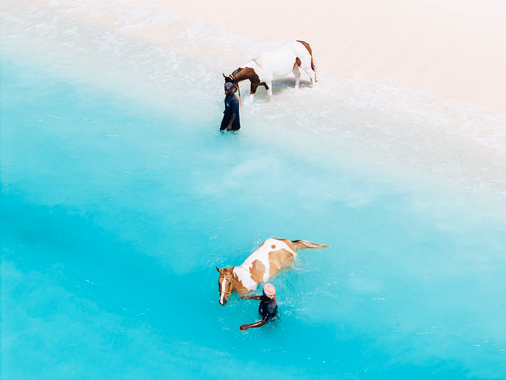 Horse Riding — excursion à Zanzibar