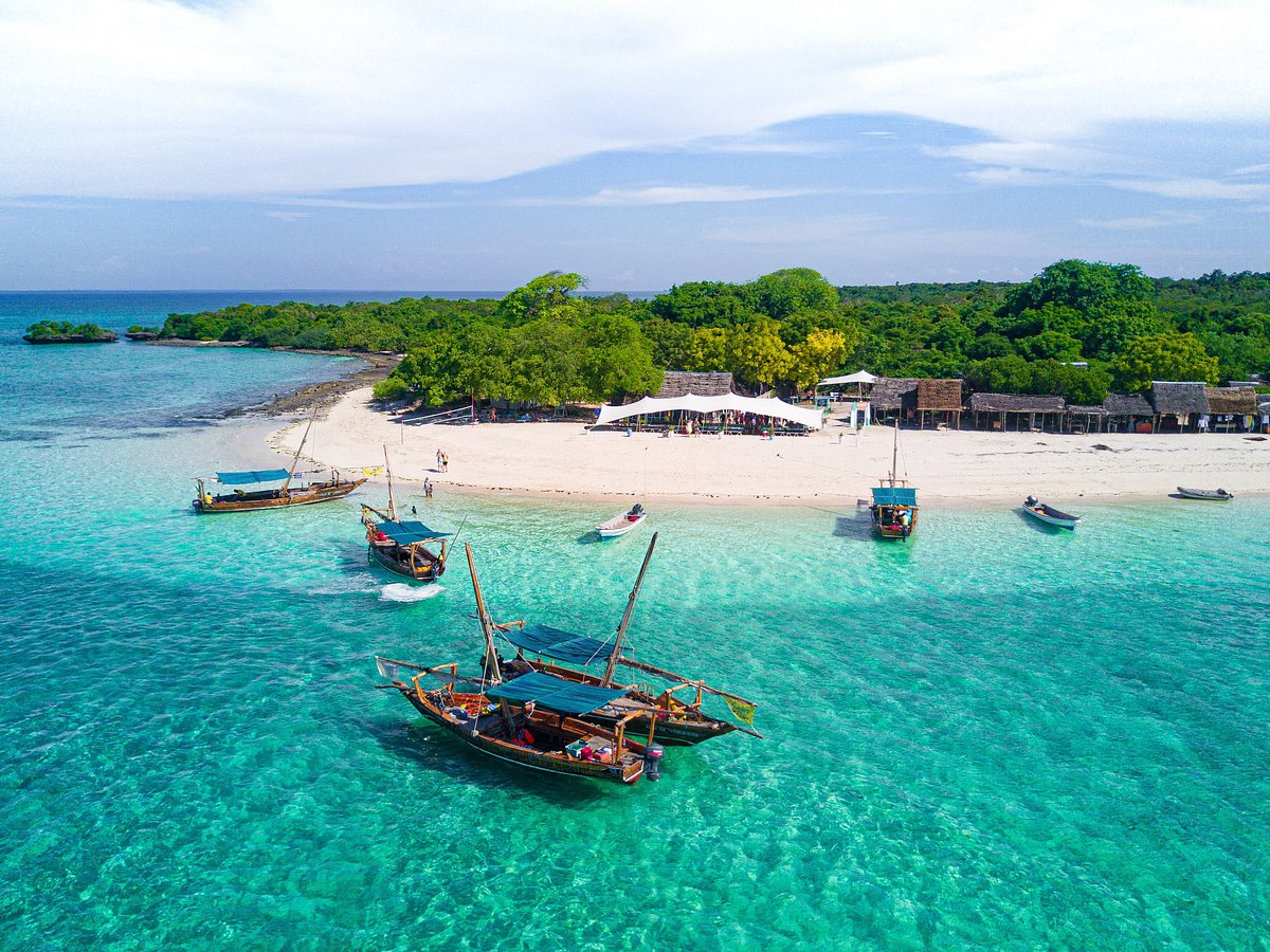 Safari Blue — excursion à Zanzibar